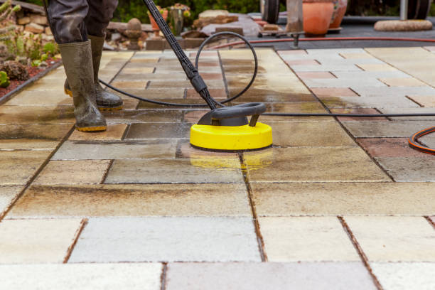 Best Roof Washing  in Port Labelle, FL